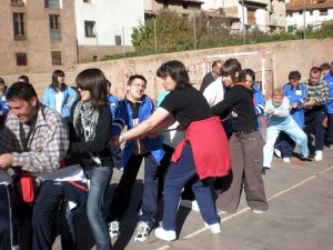 Plataforma del Voluntariado