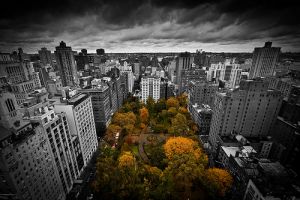 La foto es de Brother Grimm en Flickr