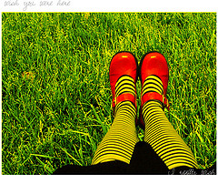 Foto: Bahianoticias.com_flickr