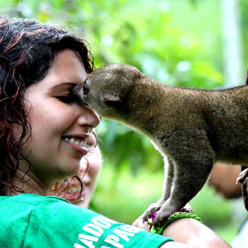 Voluntariado Ecuador rescate fauna salvaje