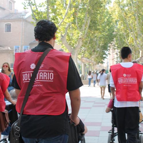 Voluntarios para paseo con ancianos por el centro de murcia - viernes 9 de septiembre