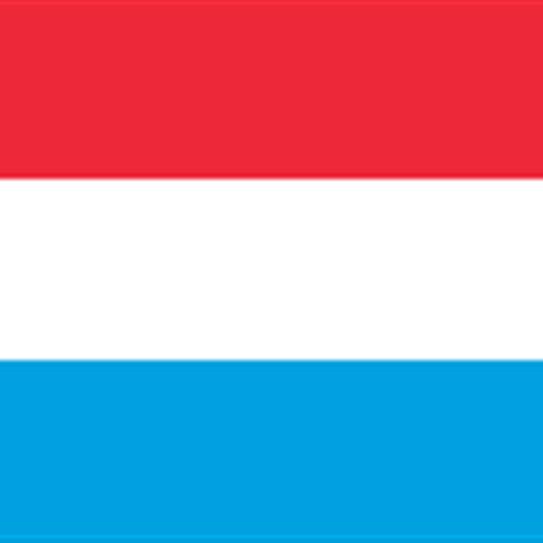 Servicio voluntariado europeo en luxemburgo - ecole de musique