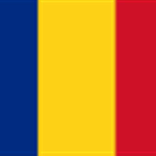 Servicio voluntario europeo en rumanía julio 2015 - mayo 2016