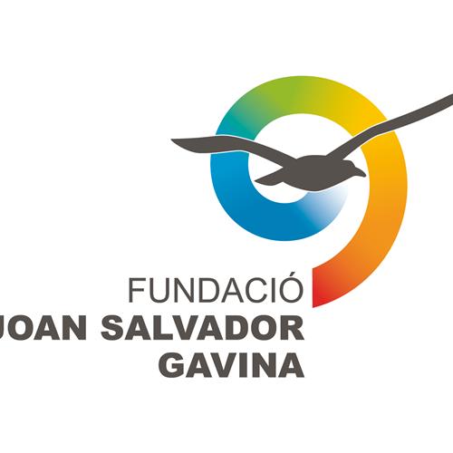 La fundació joan salvador gavina cerca voluntaris per activitats de casal i colònies d’estiu - VeranoEspaña
