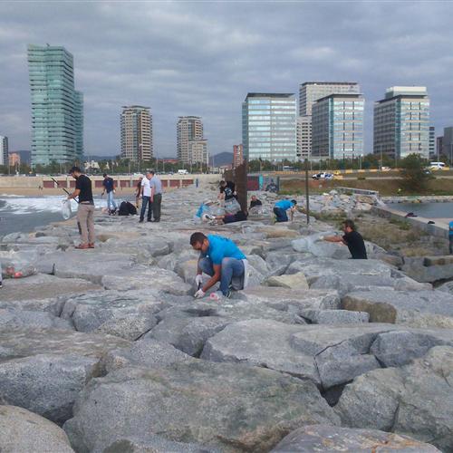 1a neteja de les pedres (superfície) dels espigons del litoral barceloní