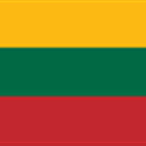 Servicio voluntario europeo en lituania septiembre 2015 - junio 2016