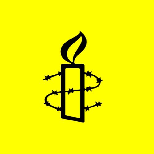 Activista de amnistía internacional en palencia