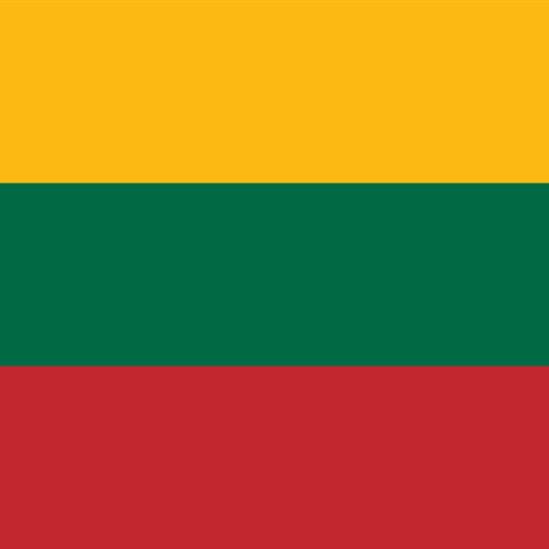 Servicio voluntariado en lituania -sve. 