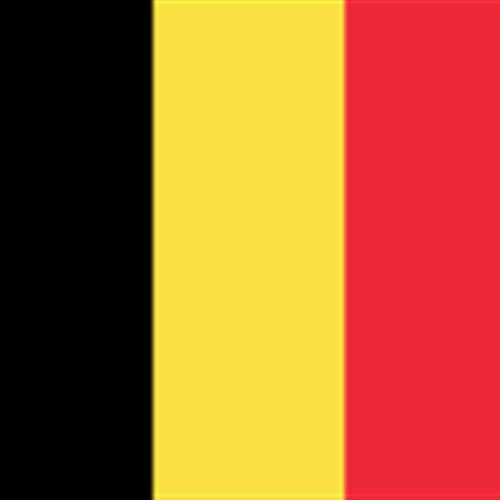 Servicio voluntariado en belgica - nuevo proyecto en bruselas. ecole de cirque