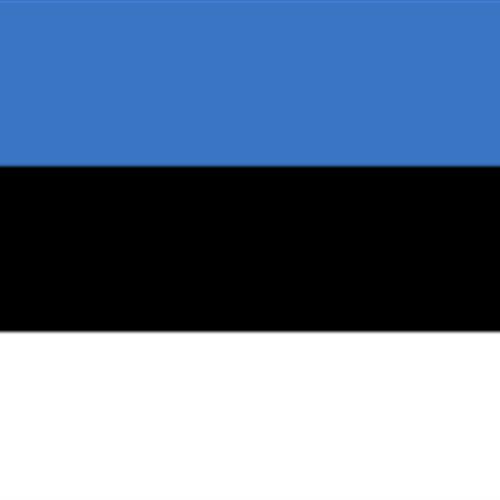 Servicio voluntariado europeo estonia - abja/vijandi 2 plazas. limite 26 septiembre!!!!