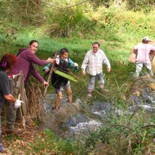 Acciones de voluntariado en septiembre para conservar playas y ríos españoles