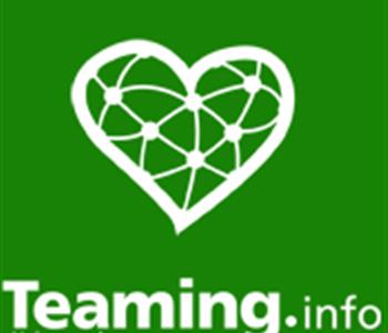 www.teaming.info