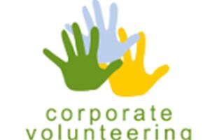 Iberdrola Volunteers