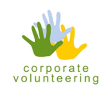 Iberdrola Volunteers