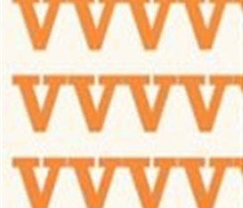 Logo del Congreso Europeo de Voluntariado