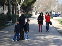 Foto de Flickr - los mininos