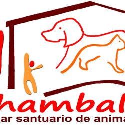 Shambala, asociación defensora y protectora de los derechos de los animales  no humanos - Transparencia ONG 