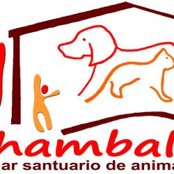 Shambala, asociación defensora y protectora de los derechos de los animales no humanos - Transparencia ONG Shambala, asociación defensora y protectora de los derechos de los animales no humanos - Transparencia ONG