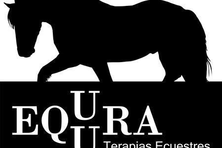 Terapeuta ocupacional o fisioterapeuta