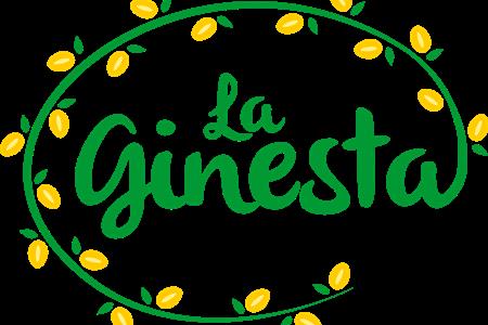 Tècnic/a expert/a en subvencions, comunicació i fundraising