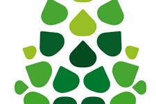 Dinamització de la xarxa d’escoles verdes i coordinació de projectes d'educació ambiental a fundespl