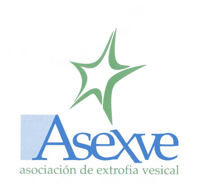Técnico de proyectos y gestion entidad