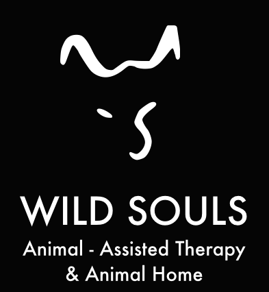 Técnico en intervención asistida con perros