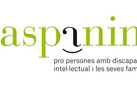 Tècnic d'atenció directa per pisos amb suport 