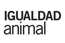 Manager de marketing digital