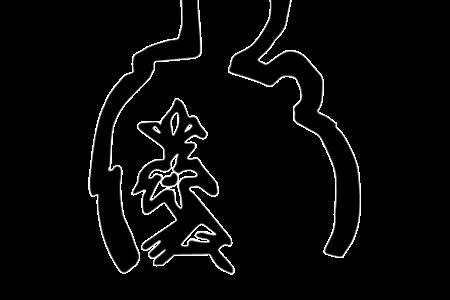 Psicóloga/o para oficina de vivienda