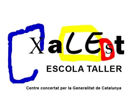 Professional d' educació especial