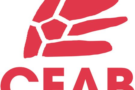 Entrenador esportiu federat per a persones amb paràlisis cerebral