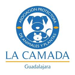 Federación Coordinadora de Protección Animal CLM - Transparencia ONG - Federación Coordinadora de Protección Animal CLM - Transparencia ONG -