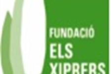 Auxiliar en centro ocupacional