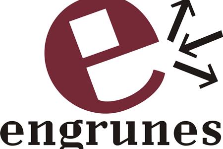 Coordinador de projectes amb suport a la direcció