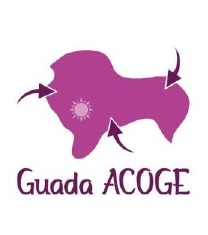 Abogada/o