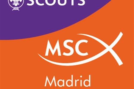 Técnico/a de proyectos, operaciones y coordinación técnica
