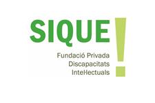 Responsable / directora area ocio fundación personas con discapacidad intelectual