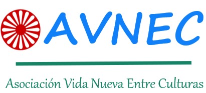 Técnico de proyecto