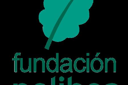 Técnico de mantenimiento general de instalaciones