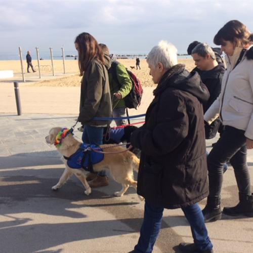 Passejades amb gossos amb persones amb discapacitat intel·lectual, al barri de sant andreu