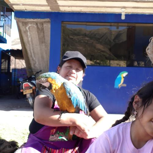 Voluntariado con niños/as en Perú