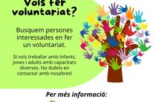 Voluntariado de sábados con personas con diversidad funcional