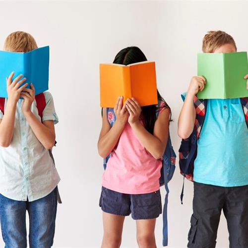Voluntariado refuerzo educativo primaria y secundaria en fundación tomillo