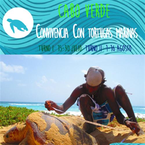 Últimas Plazas- Convivencia con tortugas marinas