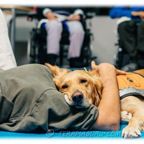 Terapia asistida con perros para menores en exclusión social.