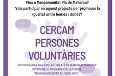 Voluntariat campanya "no hi ha espai per al masclisme" (pla de mallorca)