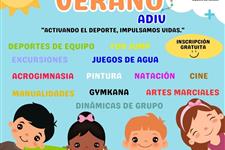 Monitor de ocio y tiempo libre o animador sociocultural o animador deportivo o titulado en magister 