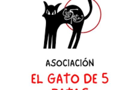 Voluntariado con adolescentes con discapacidad intelectual asociación el gato de 5 patas