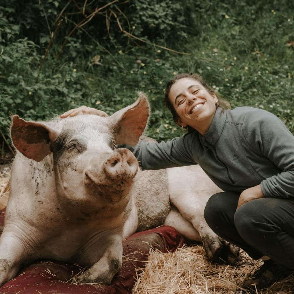 Buscamos urgentemente personas cualificadas en fisioterapia para santuario de animales